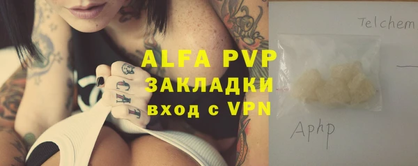 стаф Алзамай