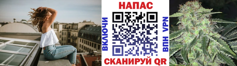 Каннабис семена omg зеркало Почеп как найти наркотики